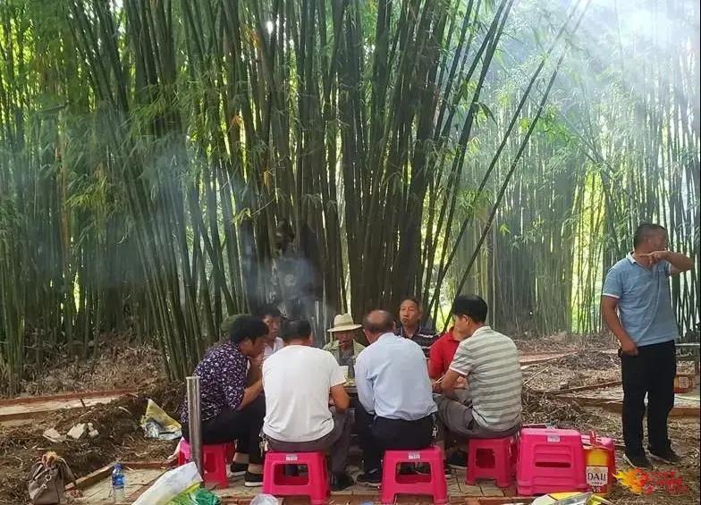 禄丰泡温泉攻略,禄丰恐龙谷温泉旅游攻略