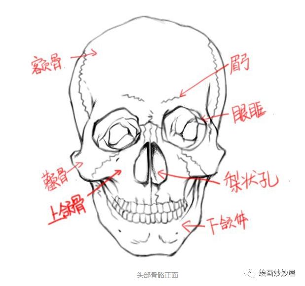浜虹墿澶村儚缁樼敾鏁欑▼,鍔ㄦ极澶村儚缁樼敾鏁欑▼