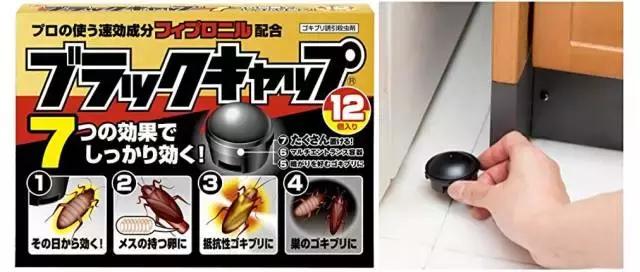 断头不死，马桶里重生，南方蟑螂凭什么把北方汉子吓出猪叫