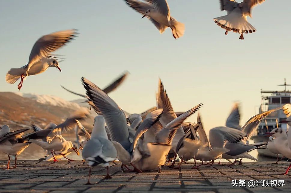 捕捉美好瞬间9秒视频,捕捉震撼的瞬间