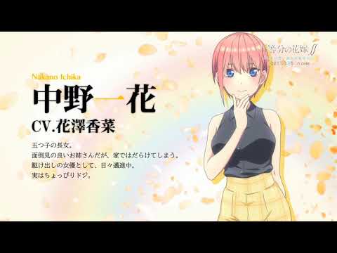 宝可梦珍珠和钻石攻略,switch宝可梦珍珠钻石mega进化