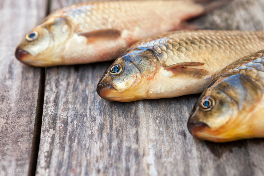 买鲫鱼怎么挑没有籽的鱼,教你怎么挑鲫鱼