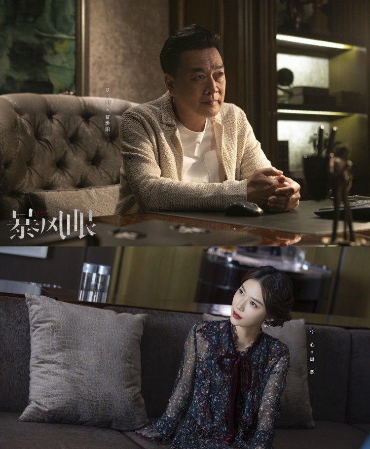 现代谍战剧《风暴舞》《暴风眼》国产谍战剧的新颖清新之作！