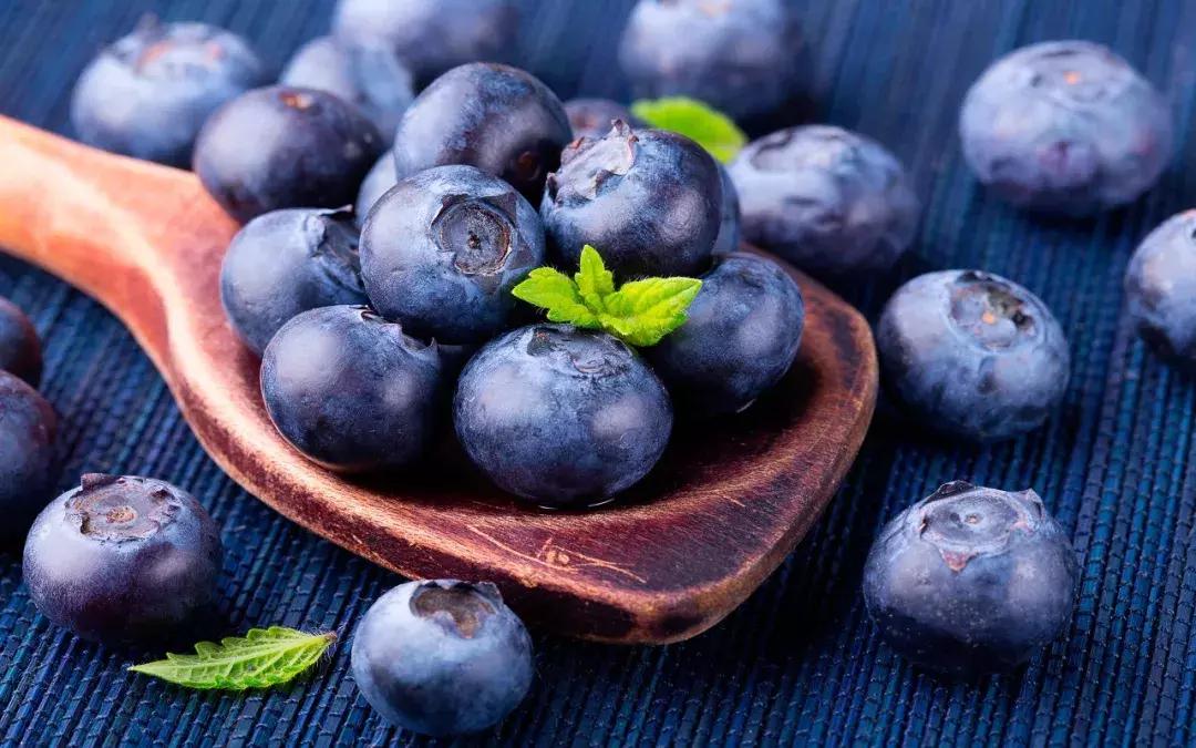 蓝莓怎么吃护眼效果最好,蓝莓护眼食材排行榜