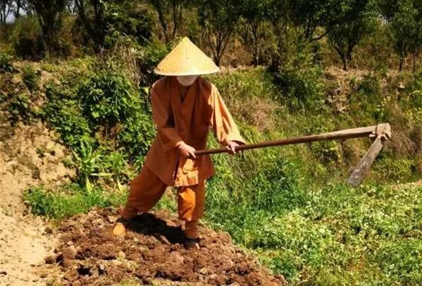 抢抓农时开展农业生产,农民纷纷抢抓春耕生产有利时机