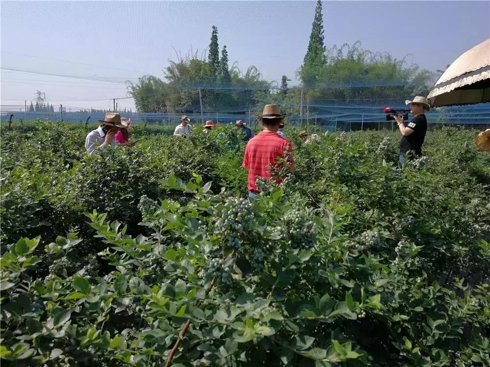 未来的新都,看一下新都的二手房