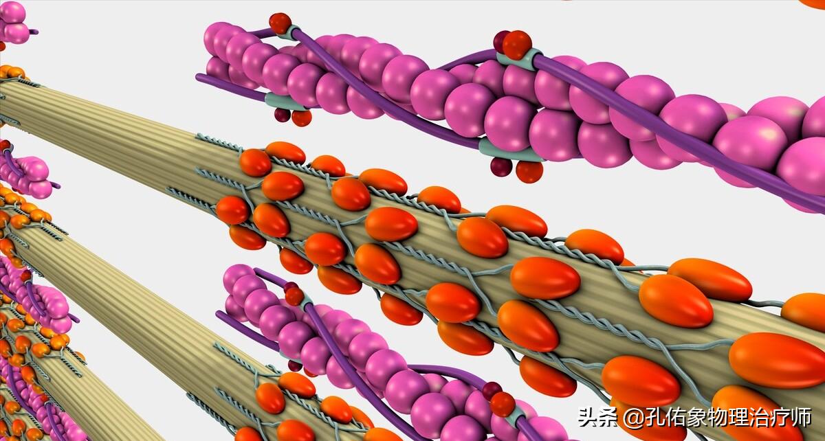 睡觉腿抽筋除了缺钙还有3个原因,睡觉突然腿抽筋是缺钙正确答案