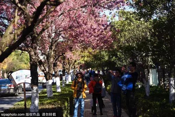 北京出发特价往返机票多少钱,北京出发旅游特价票