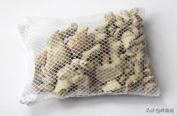 小型观赏鱼鱼缸水质过滤,调节观赏鱼水质的要点解析