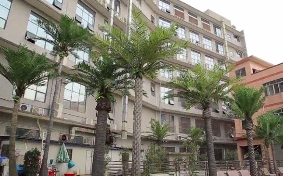 红松树仿真造景全过程,仿真松树枝叶怎么制作