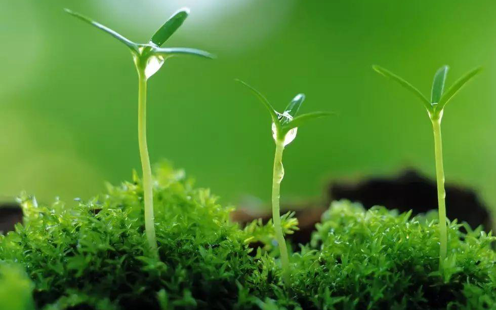 圈子不同不必强融的意思,不同圈子的人不必强融