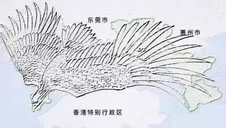 人容颜弹指老，深圳却永远年轻