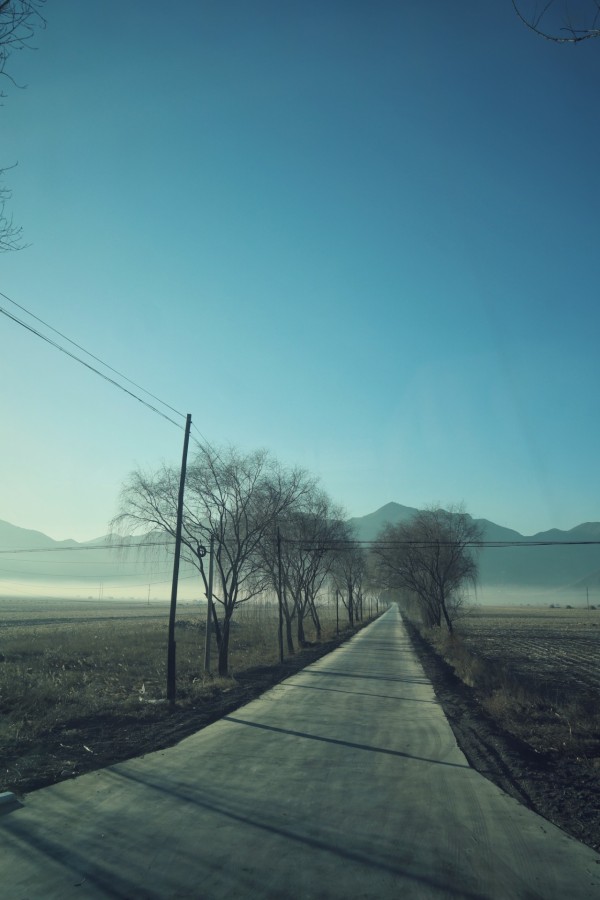 盛唐气度，佛国五台-山西古建筑6日行（3）