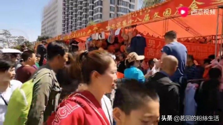 哈尔滨极乐寺冬天有庙会吗,哈尔滨极乐寺元宵节