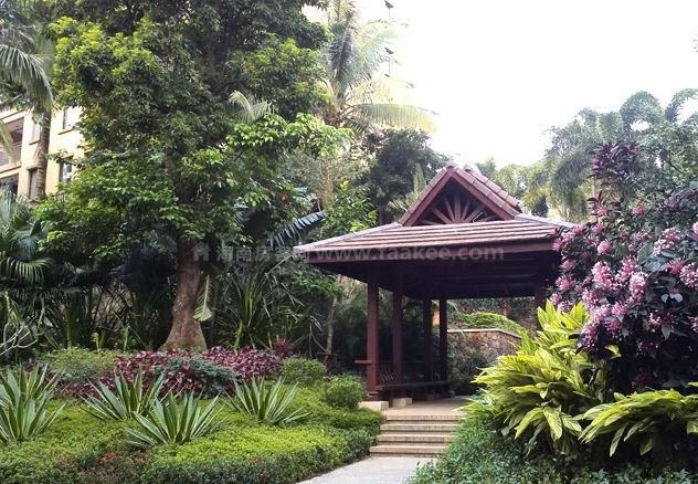 成功置业万宁石梅山庄，杨哥终于实现定居万宁梦