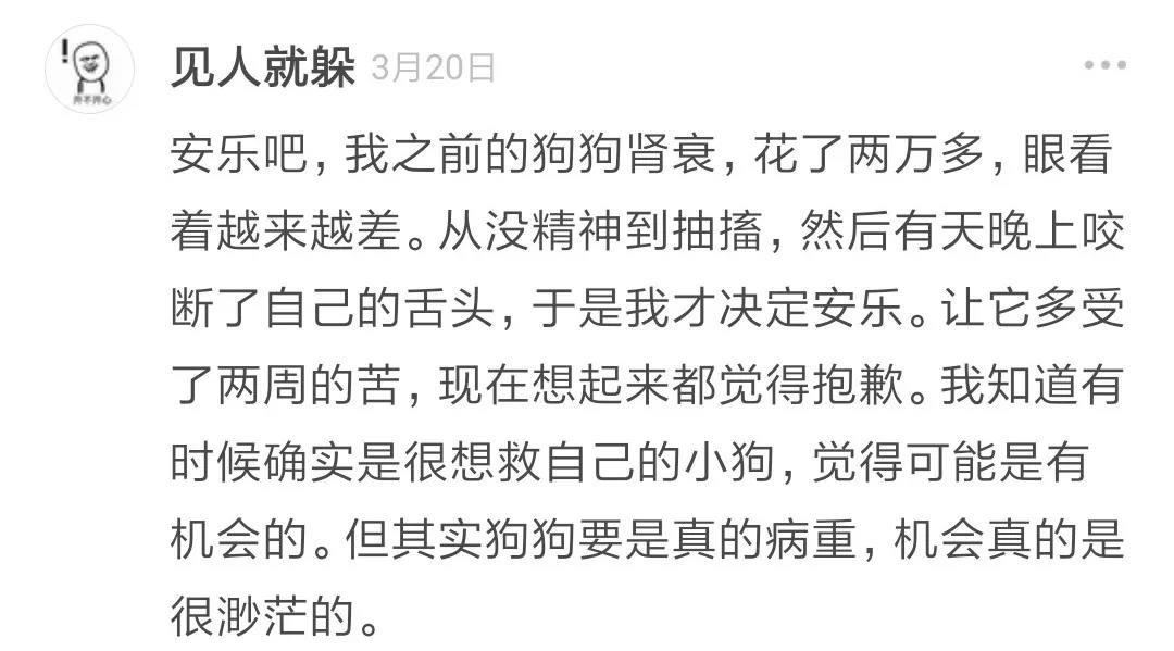 狗狗肾衰竭的治疗方法,幼犬狗狗肾衰竭