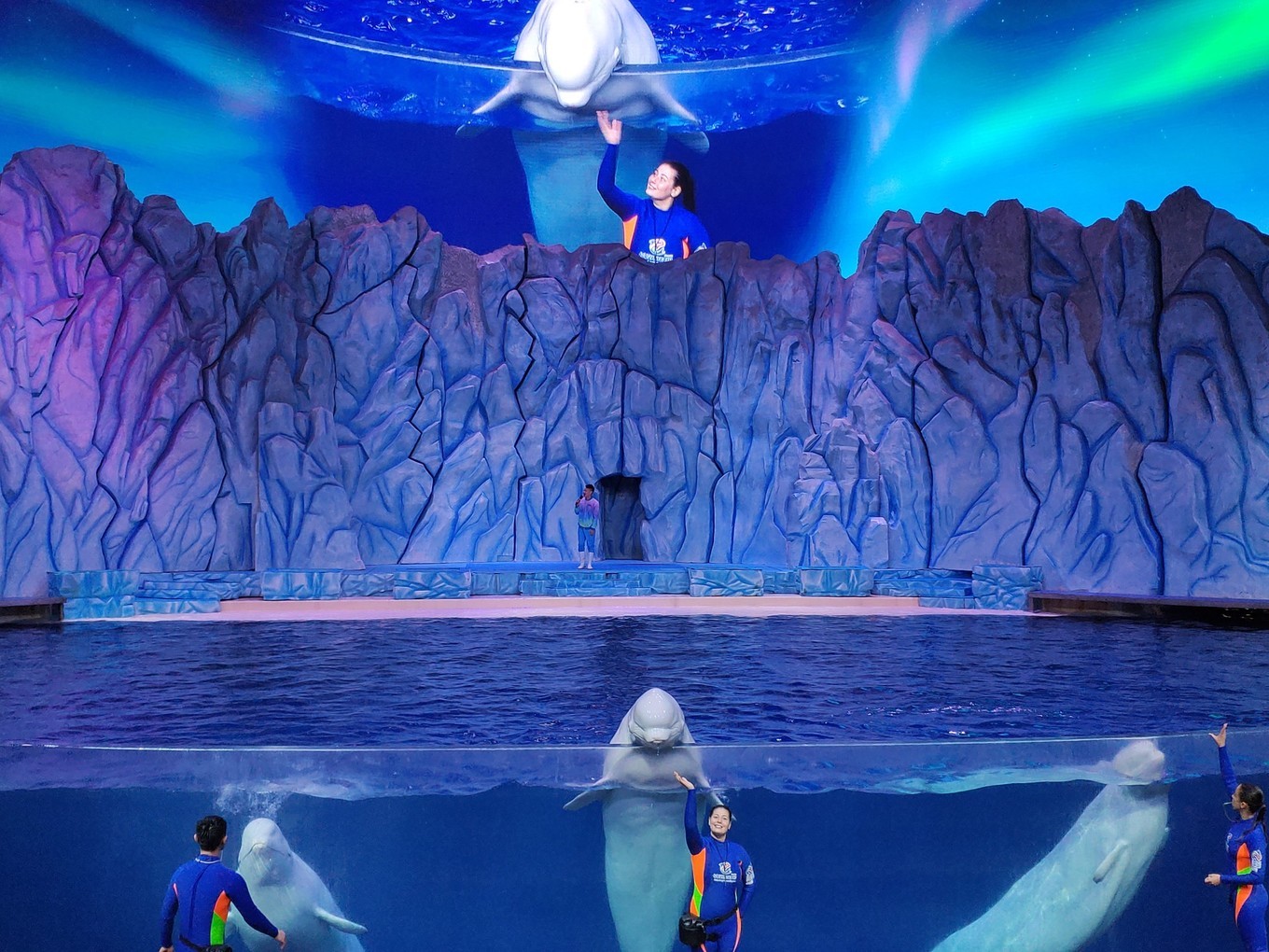 珠海长隆海洋王国攻略三天两夜,珠海长隆海洋王国必玩十大项目