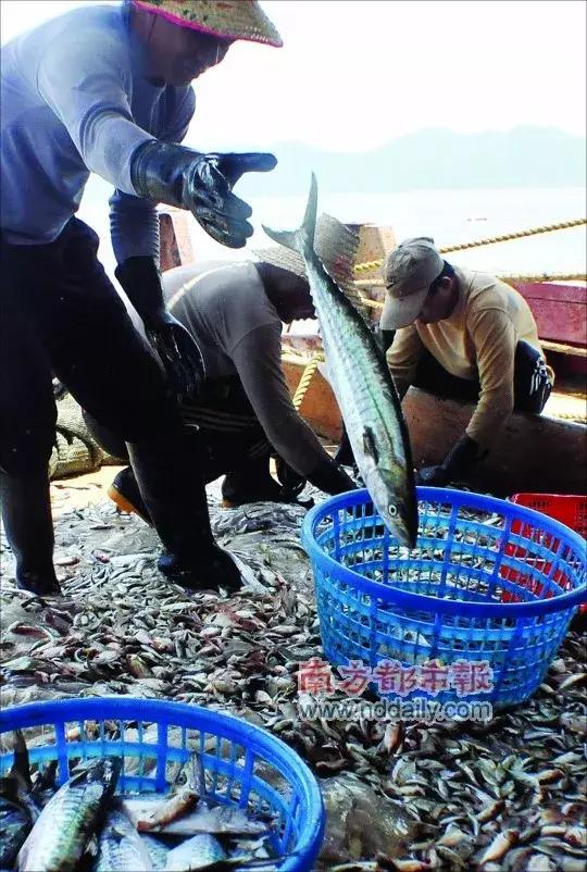 中国最美丽海岸线——广东省最美丽的岛屿：南澳