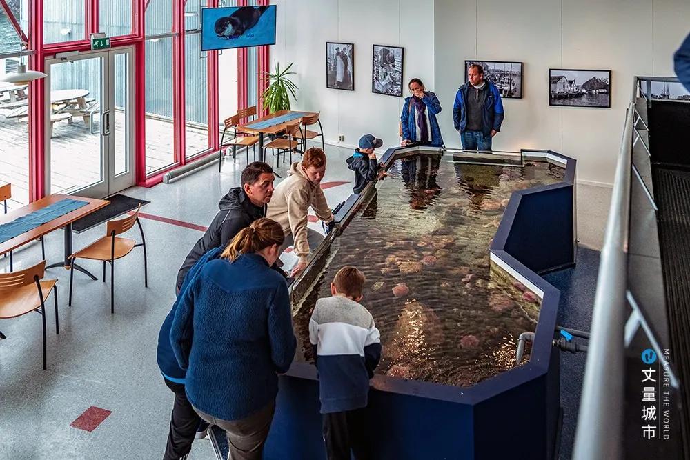 维京遇到全域旅游，美丽乡村、特色小镇一网打尽：挪威渔业史漫步