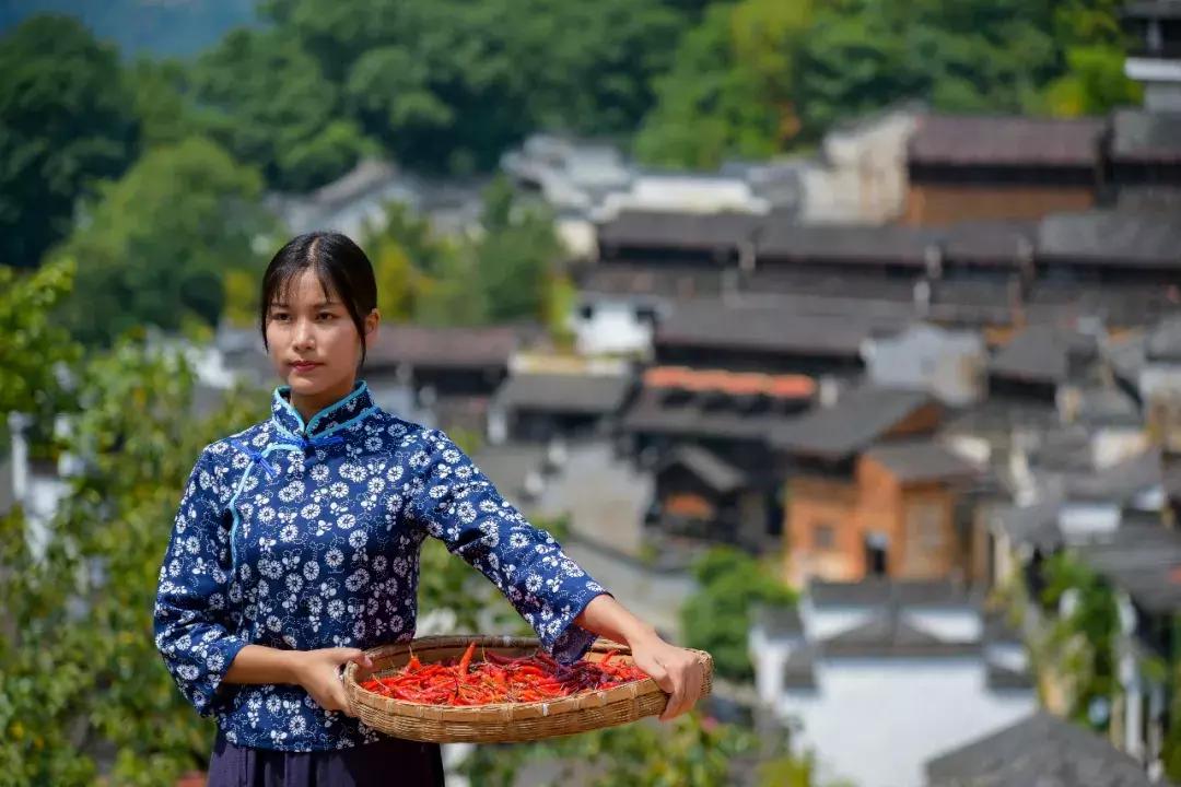 篁岭第八届晒秋节,篁岭丰收节