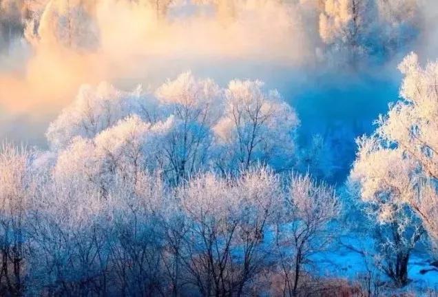 此生必去看一次雾凇太美了,此生必去看一次雾凇简直要美哭了
