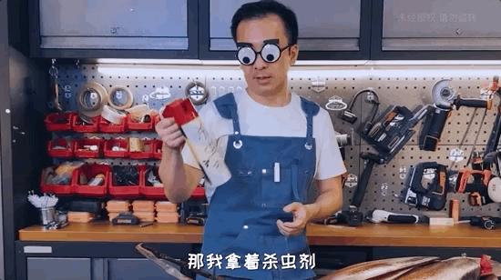 模型师消除家里蟑螂的模型,老袁如何消灭家里的蟑螂