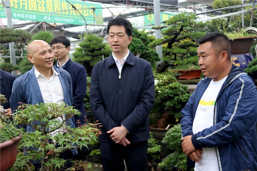 宿迁市沭阳县沭阳国际花木城,沭阳国际花木城布局