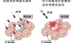 肿瘤治疗中的靶向药的描述,靶向治疗后肿瘤缩小意味着什么