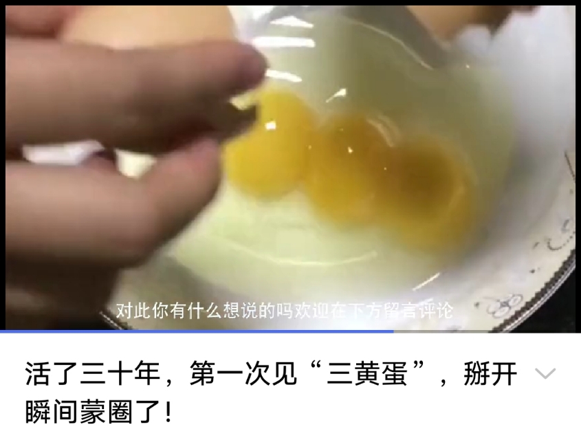 “三黄蛋”——记安庆蛋品站