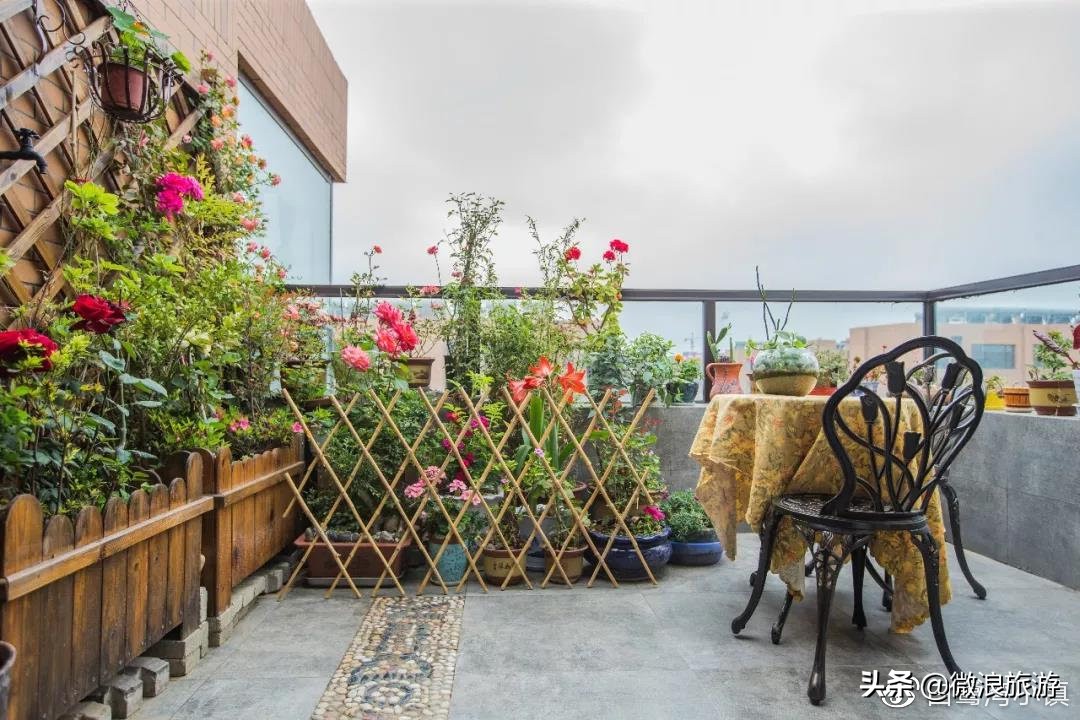 白鹭湾的“选美大赛”，谁是你心中最美的“姑娘”