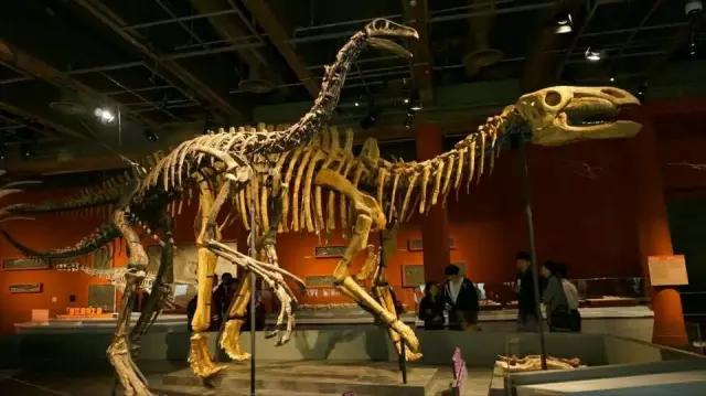 和孩子一起去旅行,和爸爸一起去旅行