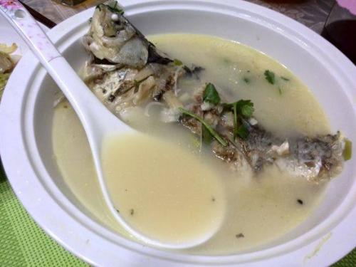 怎样炖鲫鱼汤又白又好喝,炖鲫鱼汤怎样才能汤白白的