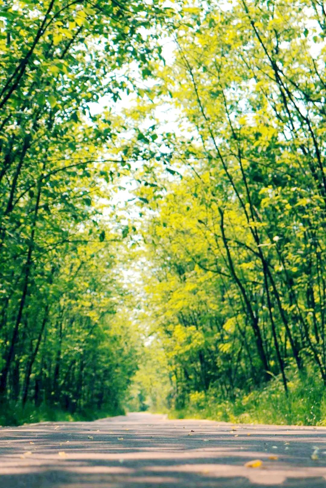 成都绿道被隔开,成都被3条路包围的楼盘