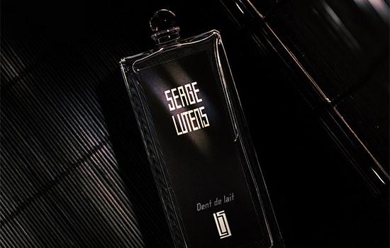 动了情的痞子连刀都拿不稳小说,动了情的痞子连刀都拿不稳下一句