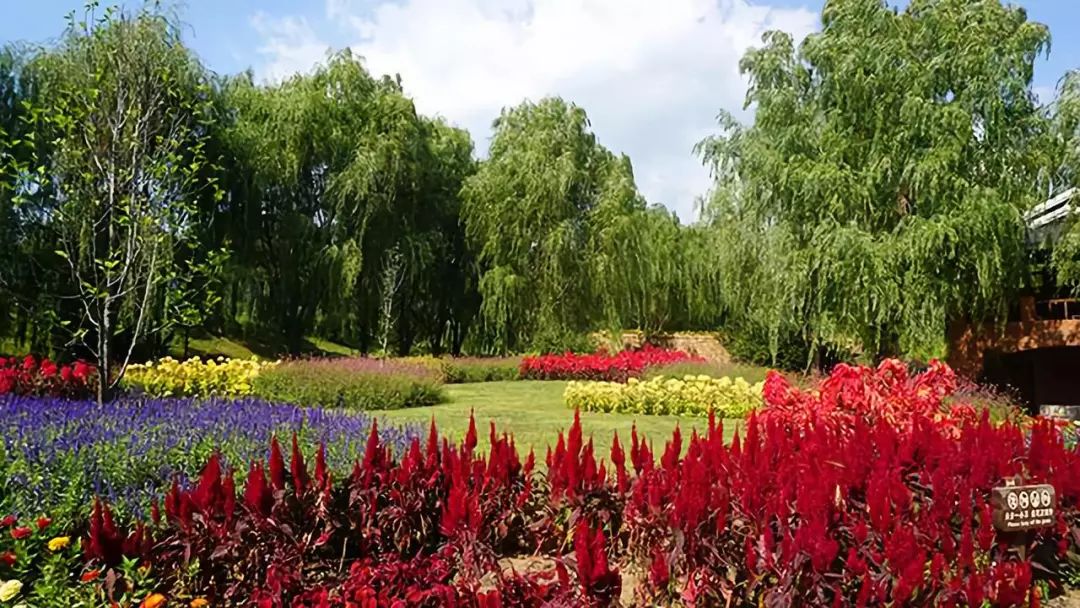 大连九月旅游攻略大全,大连11月旅游的最佳地方