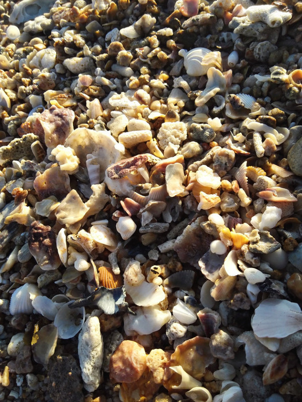 海南旅游海口到三亚自由行,从海口到三亚感受海南的无限魅力