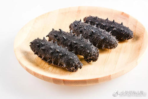 营养师鲜食海参,营养师对海参的看法