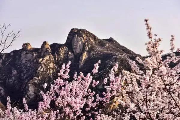 到了京郊这些花开四溢的“仙境”，您简直可以把日子过成诗！