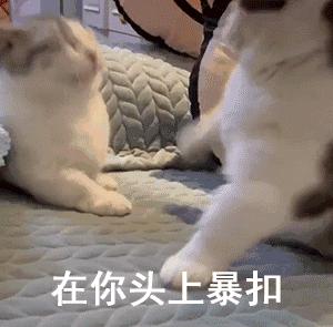 B站up电影解说视频用什么录音？