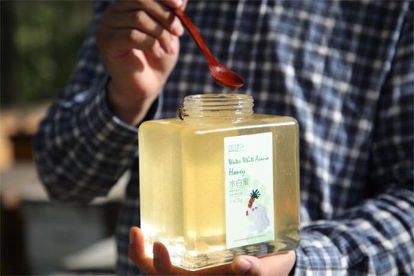 蜂蜜无水蛋糕保存几天,蜂蜜蛋糕怎么保存