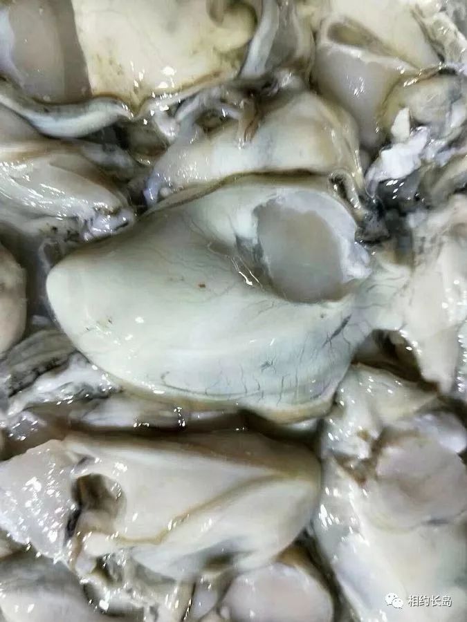 闀垮矝缃戠孩娴烽矞,闀垮矝娴烽矞澶ч鍥剧墖