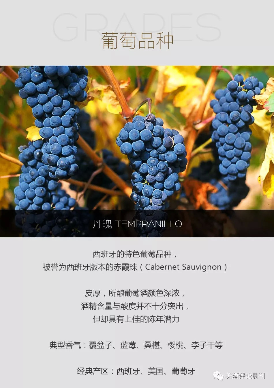 最贵、最知名、最超值、最具潜力！充满「最」的超级话题性产区