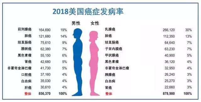 新中产困境,新中产阶级的痛点