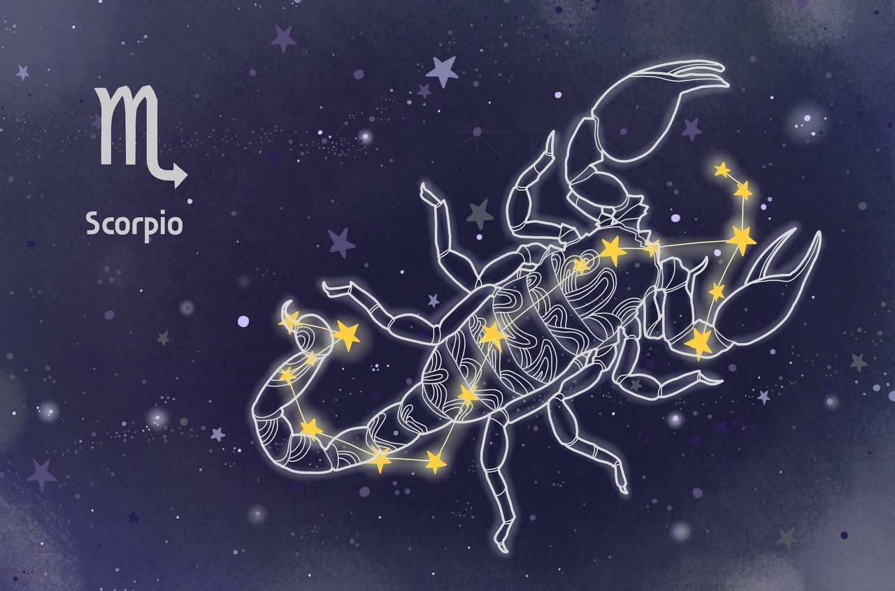 属虎的天蝎座男人,关于天蝎座的男生