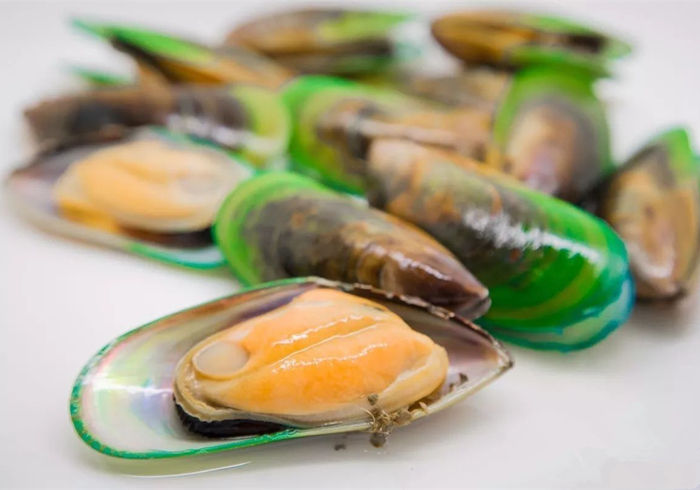 辟谣,猫咪补锰就喂它动物毛?当心爱猫肠梗阻,猫咪:刚吐完啊