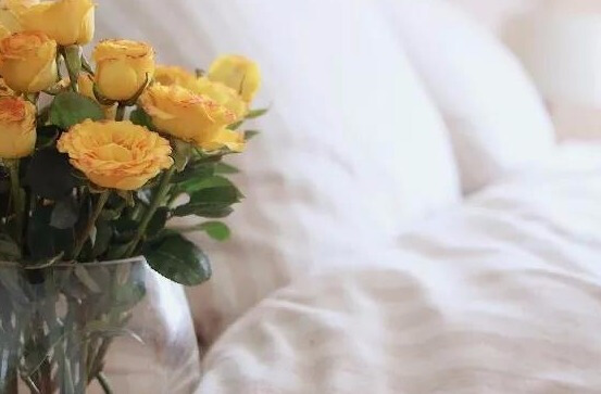 极简风的家具搭配色调,美到极致的家具搭配