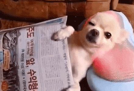 随身携带的颈椎按摩师，恒温42℃，15级力度调节，坐着躺着都能用