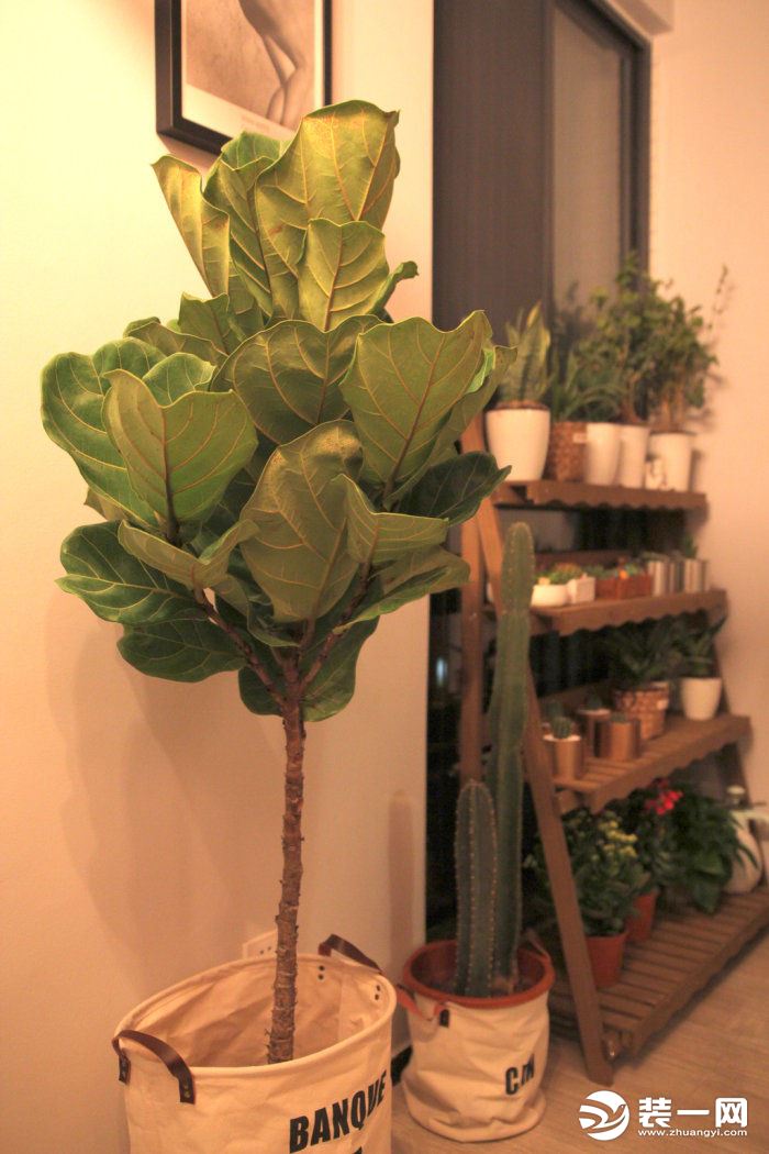 工业风混搭北欧的要点,北欧混搭风效果图