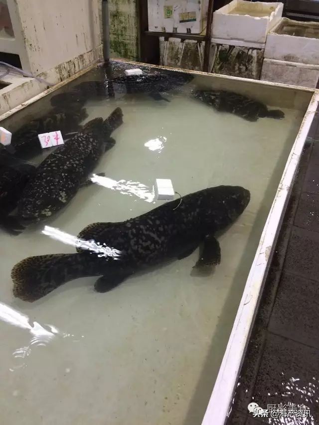 这些诱人的美食你吃过吗,世界上顶级海鲜大全你吃过几种