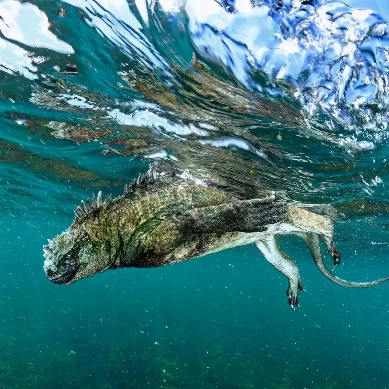 刘润概率思维,刘润打破认知